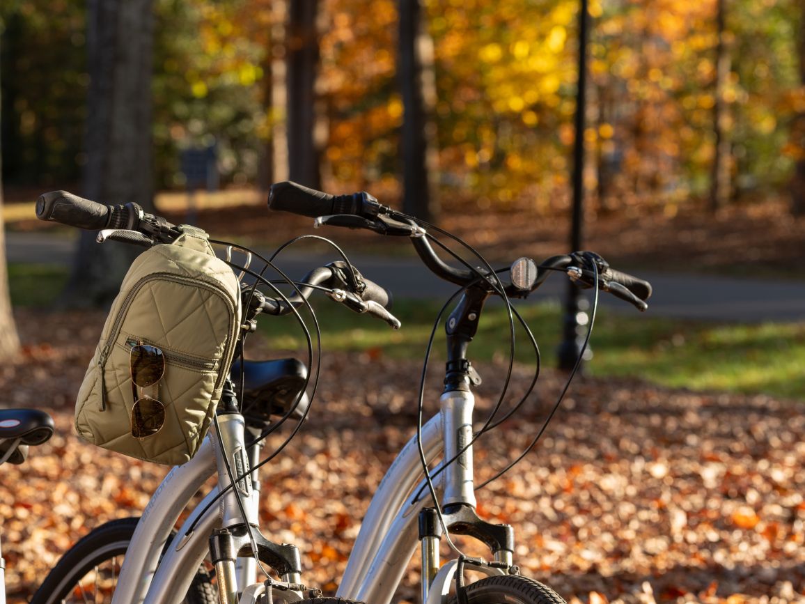 Bicycle Riding